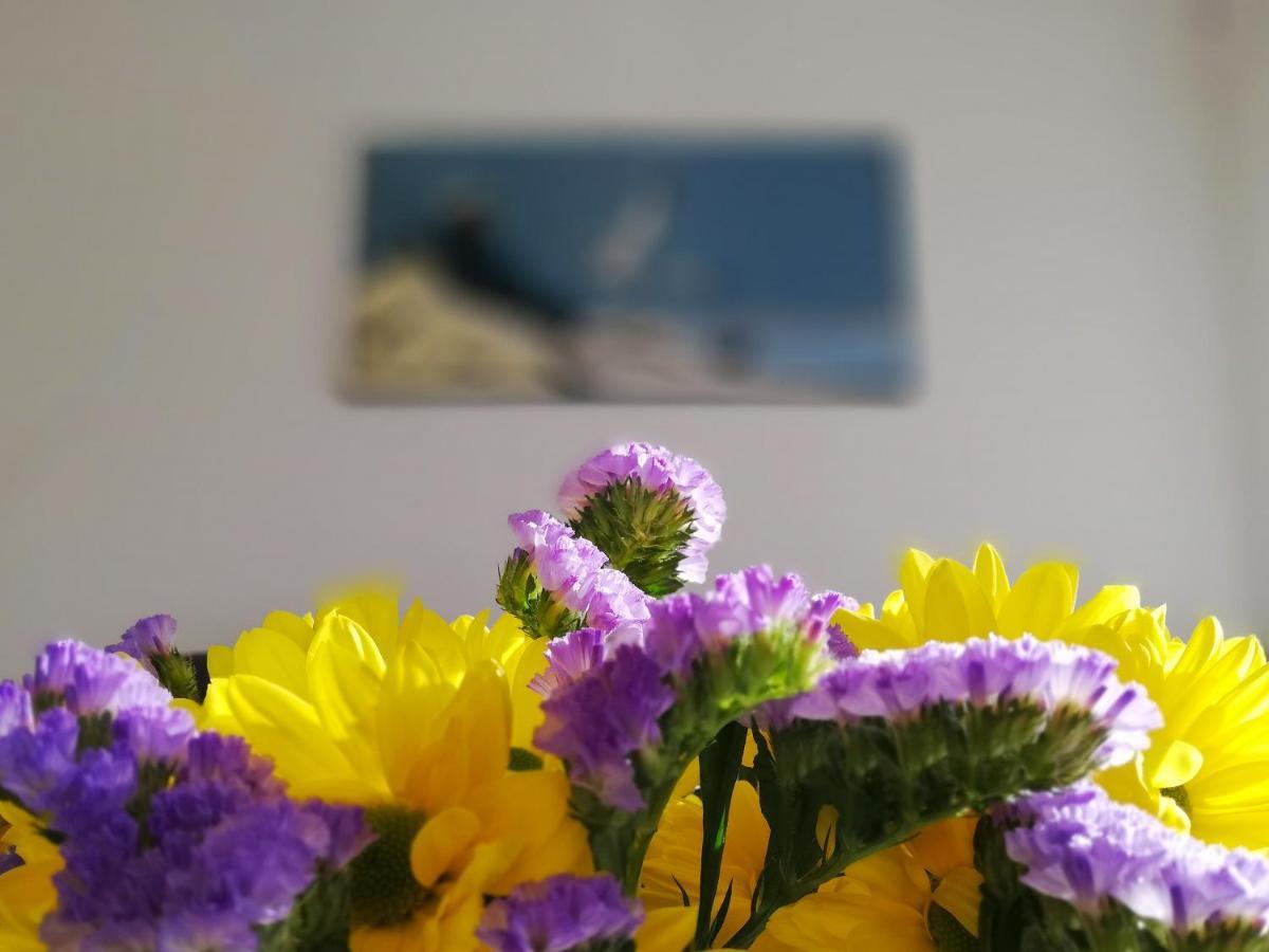 נרחה Verdemar Apartment With Sea View And Garden מראה חיצוני תמונה